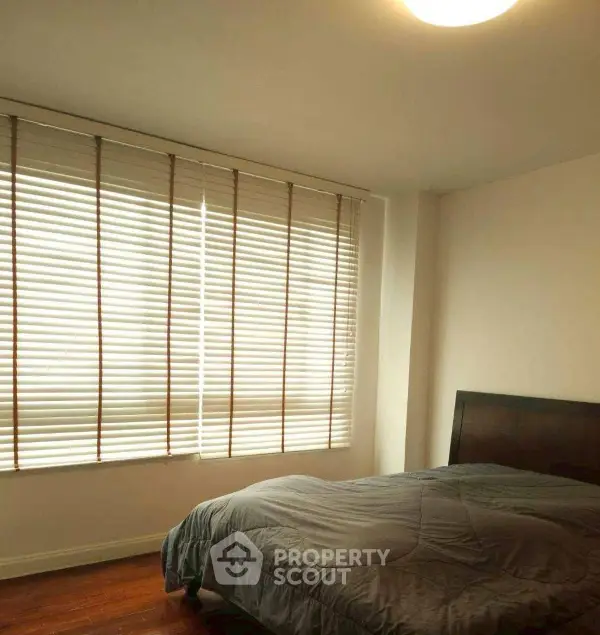 image_rental-31221238