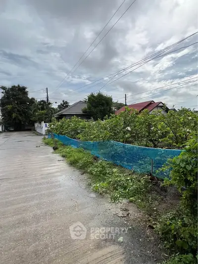 Charming suburban street view with lush greenery and residential homes under a cloudy sky.