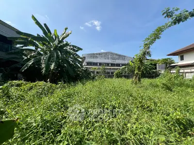Spacious overgrown garden with lush greenery and clear blue sky, perfect for landscaping potential.