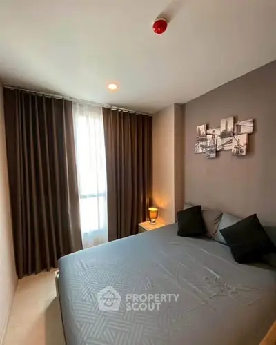 image_rental-31737193