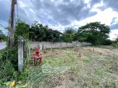 Vacant land plot with lush greenery and boundary wall, ideal for development.