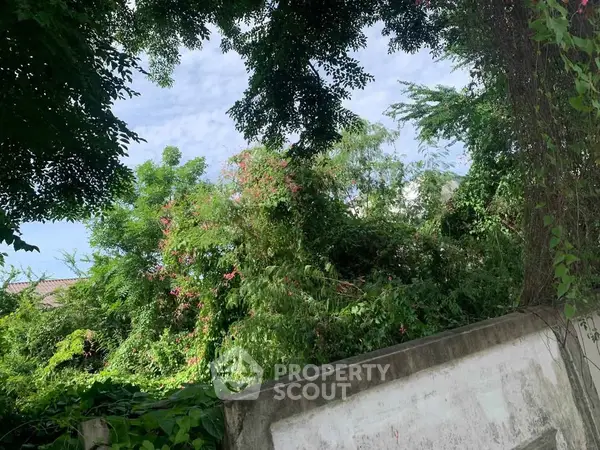 image_rental-30865184