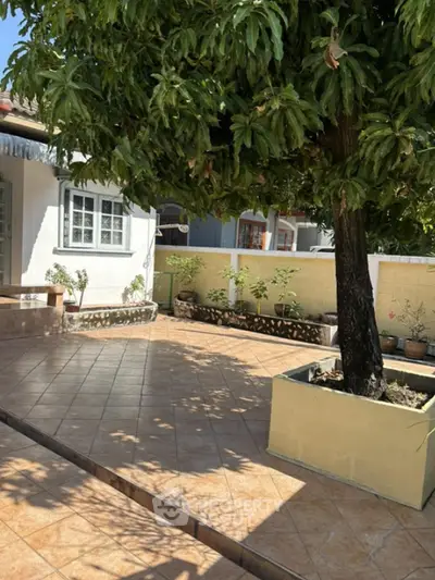 Charming courtyard with tree and tiled patio in a cozy residential home
