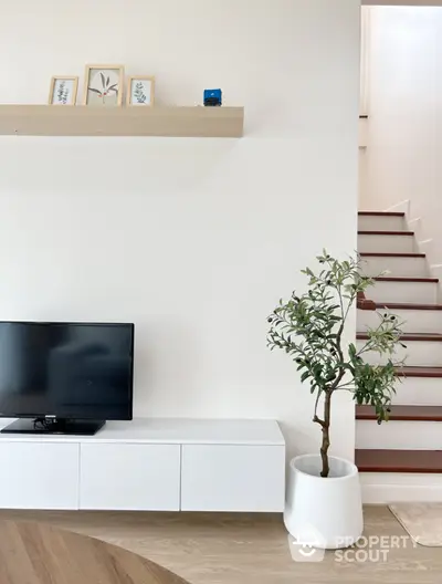 Modern living room with TV, plant, and stylish decor