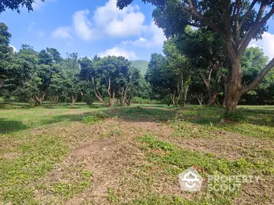 Expansive lush green land plot surrounded by mature trees under a clear blue sky, ideal for building a dream home or eco-friendly retreat.