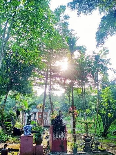 Lush garden with vibrant greenery and sunlight filtering through trees, creating a serene outdoor oasis.