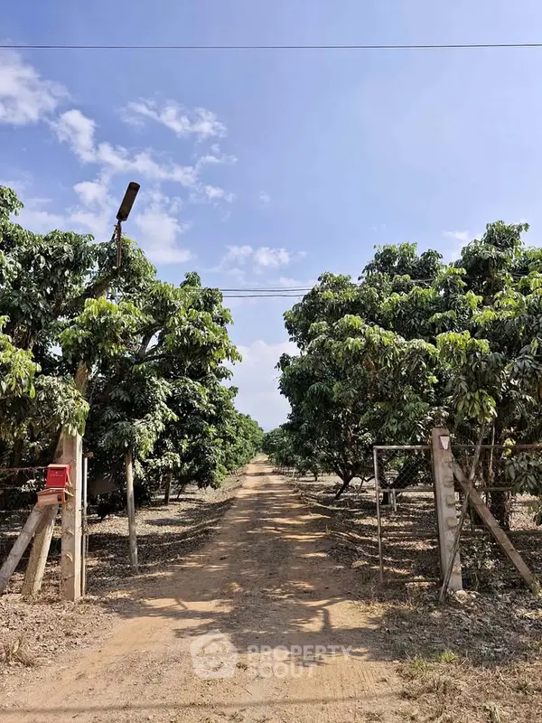 image_rental-26713968