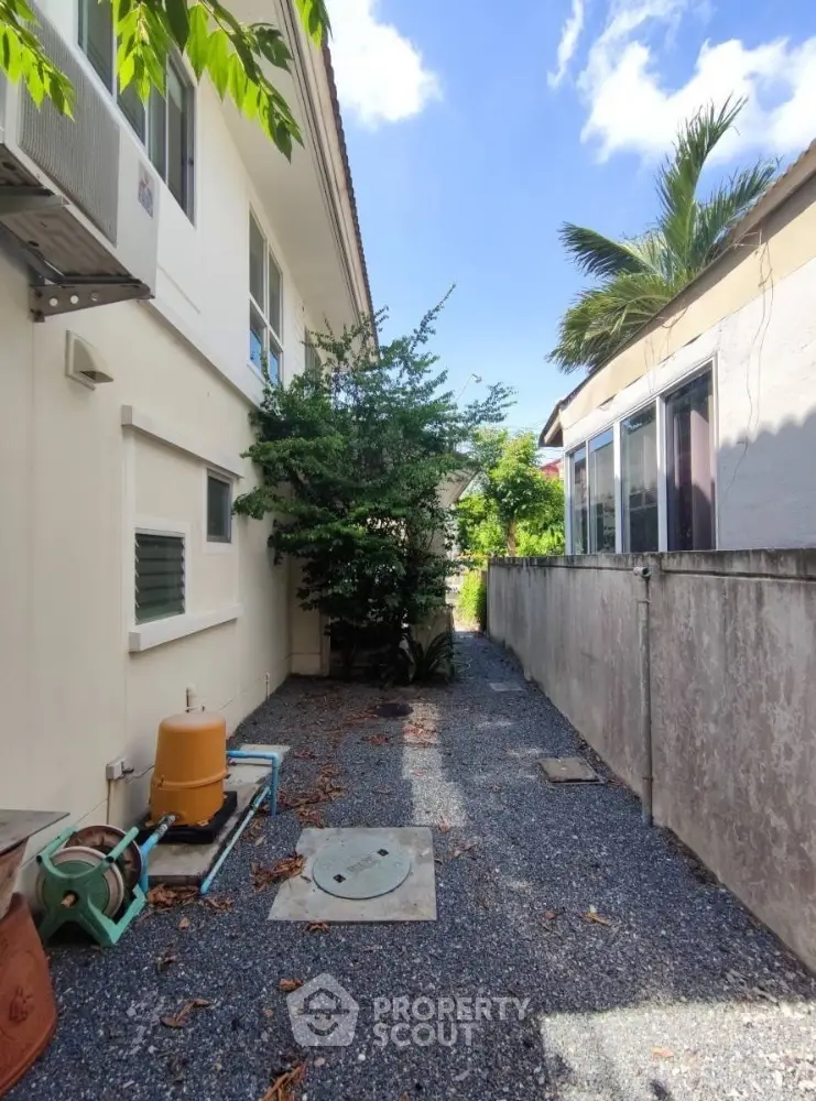 Charming side yard with gravel path and lush greenery between two houses