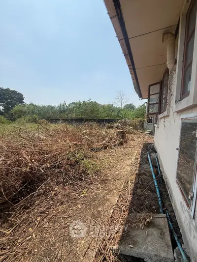 Spacious backyard with potential for landscaping, adjacent to a rustic building exterior.