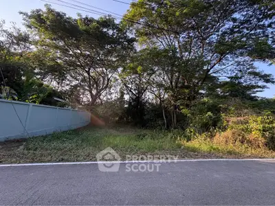 Vacant land plot with lush trees and clear sky, ideal for development.