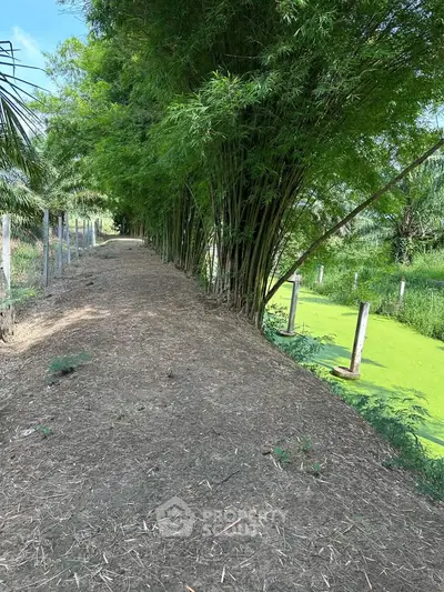 Scenic pathway with lush greenery and tranquil water view, perfect for nature lovers seeking serenity.