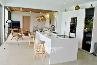 Luxurious open-plan kitchen with sleek island and modern appliances, seamlessly connected to stylish living area.
