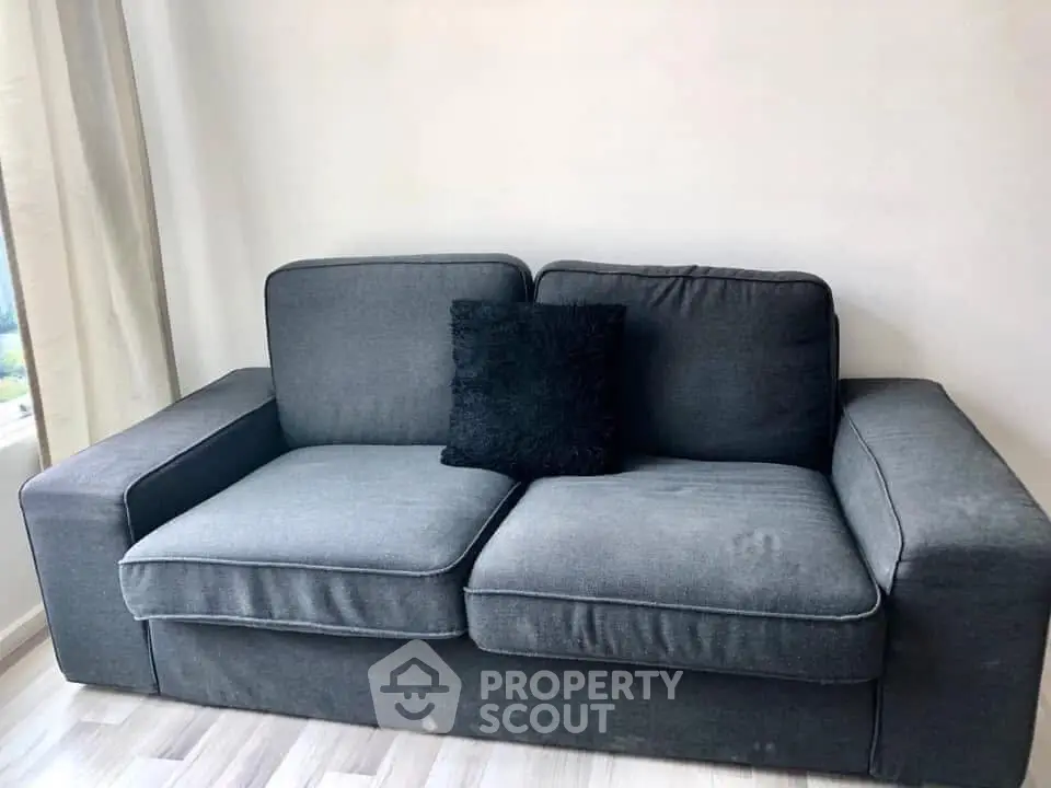Modern gray sofa in a bright living room with natural light and minimalist decor.
