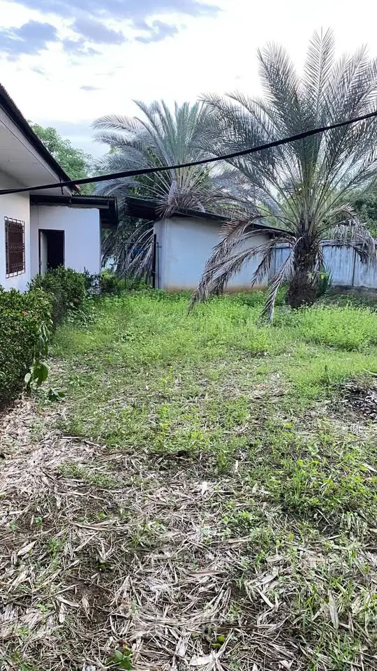 image_rental-24892616