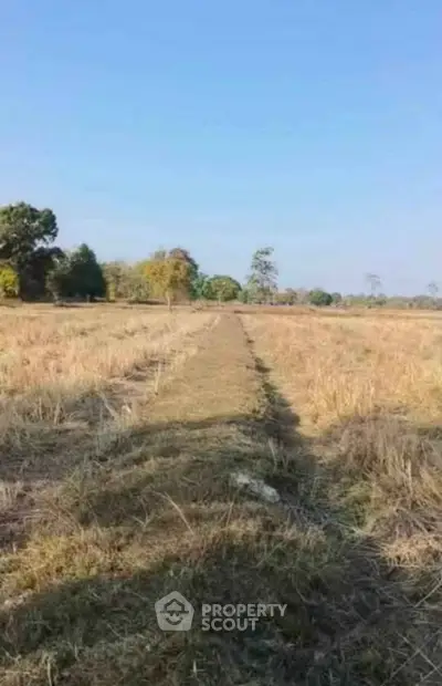 Screenshot 2026-03-19 124247.png