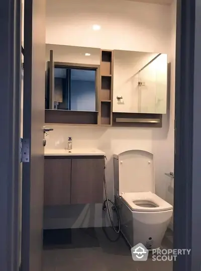 Modern bathroom with sleek fixtures, wooden cabinetry, and a large mirror, offering a blend of functionality and style in a compact space.