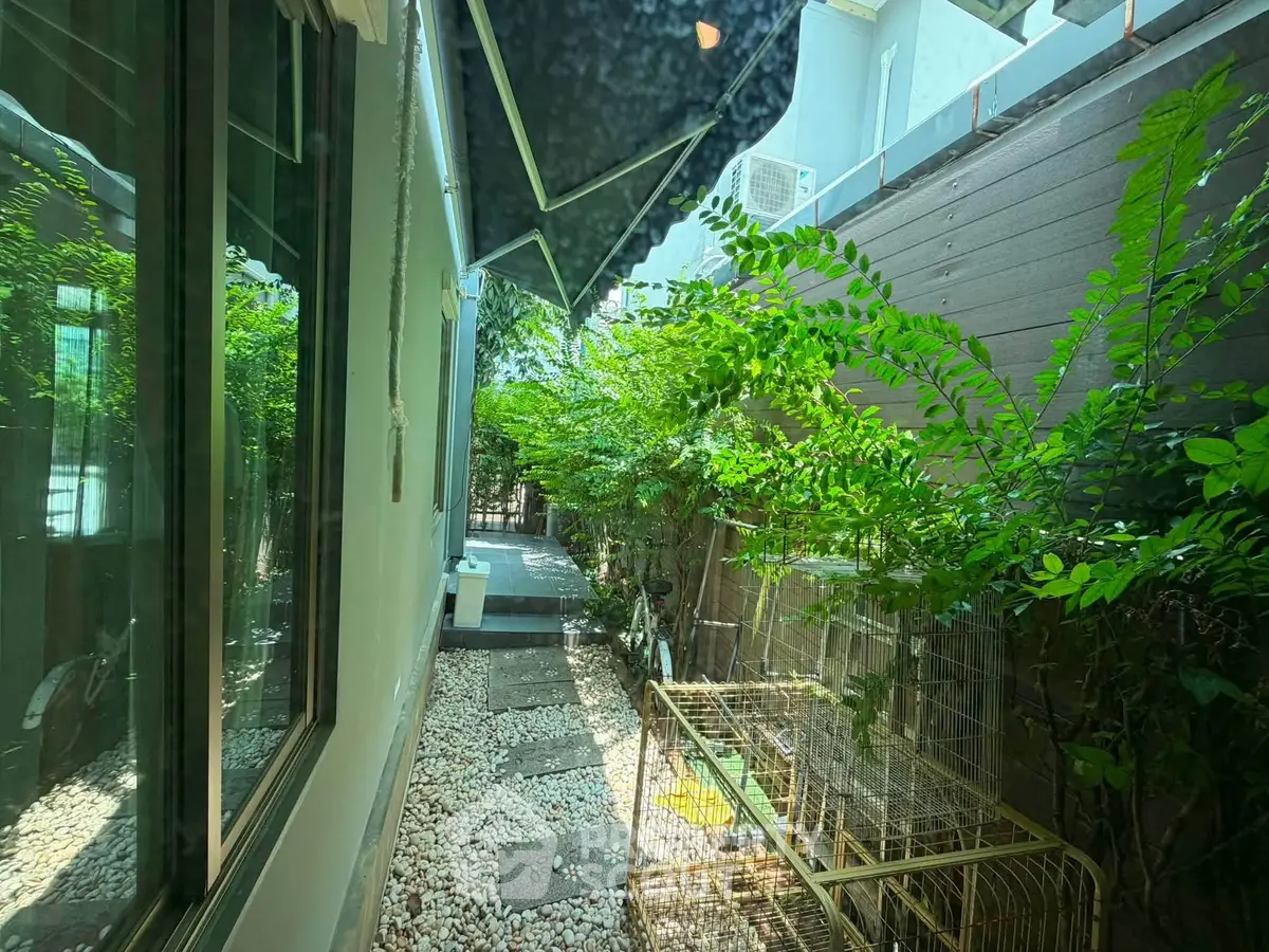 Charming garden pathway with lush greenery and modern exterior design, perfect for relaxation and outdoor enjoyment.