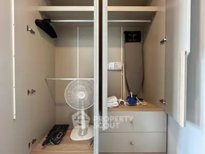 Spacious storage closet with fan, ironing board, and vacuum cleaner in modern home.