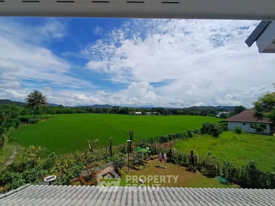 Stunning rural landscape view with lush green fields and clear blue sky.