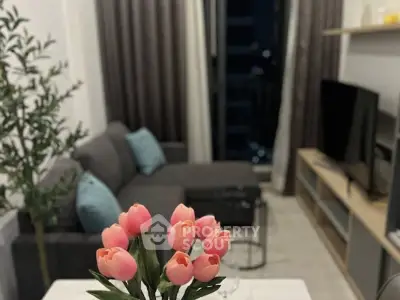 image_rental-29789493