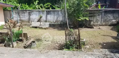 Spacious backyard with potential for landscaping, featuring a concrete path and lush greenery.