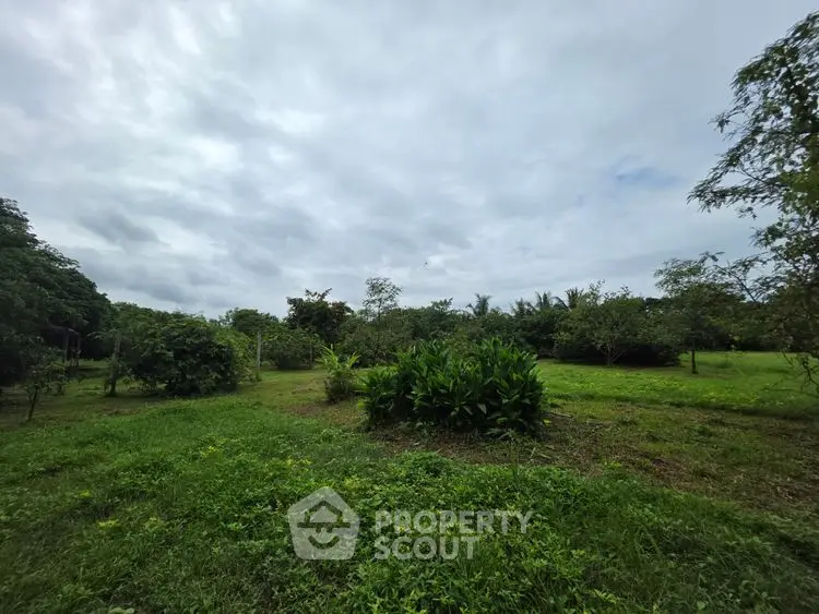 Expansive lush green garden with trees under a cloudy sky, perfect for nature lovers.
