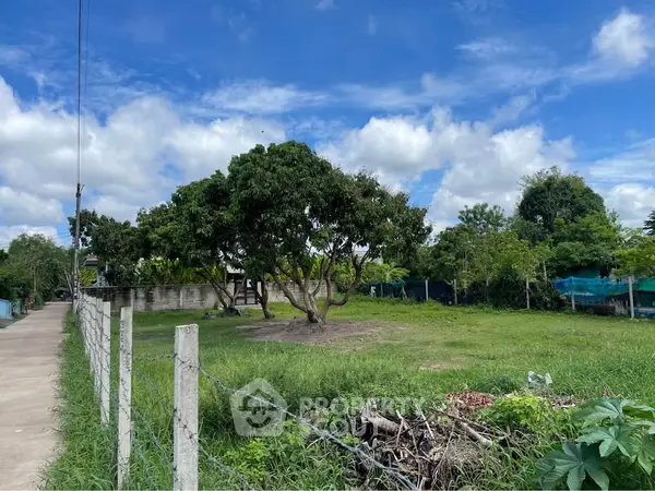 image_rental-24910420