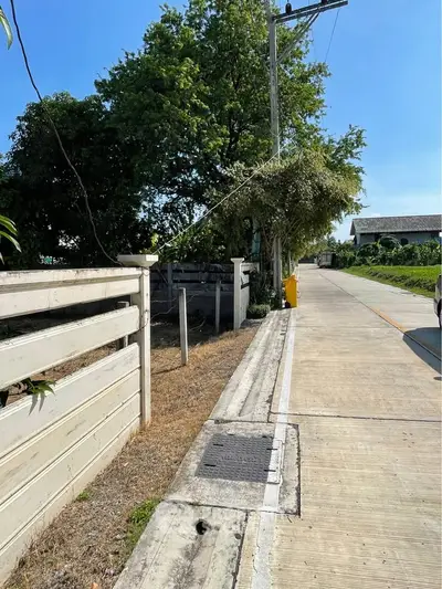 Charming suburban street view with lush greenery and modern sidewalk