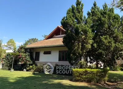 image_rental-29533091