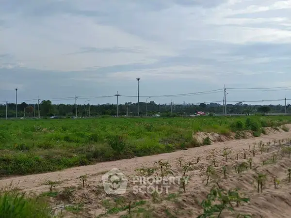 image_rental-27236928