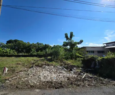 Vacant land plot with lush greenery and clear blue sky, ideal for development opportunities.