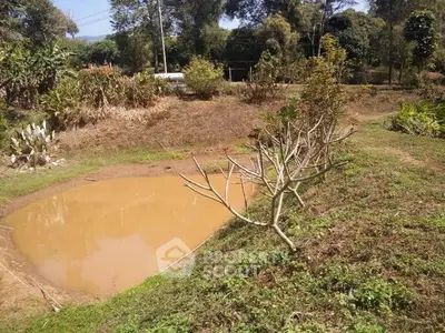 Expansive garden with a small pond in a serene natural setting, perfect for nature lovers.