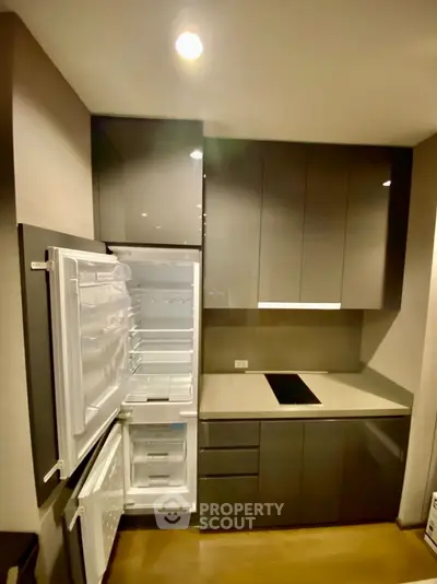 Modern kitchen with sleek cabinetry and built-in fridge in contemporary apartment