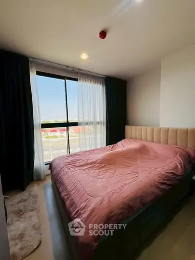 image_rental-31737665