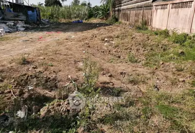 image_rental-28386905