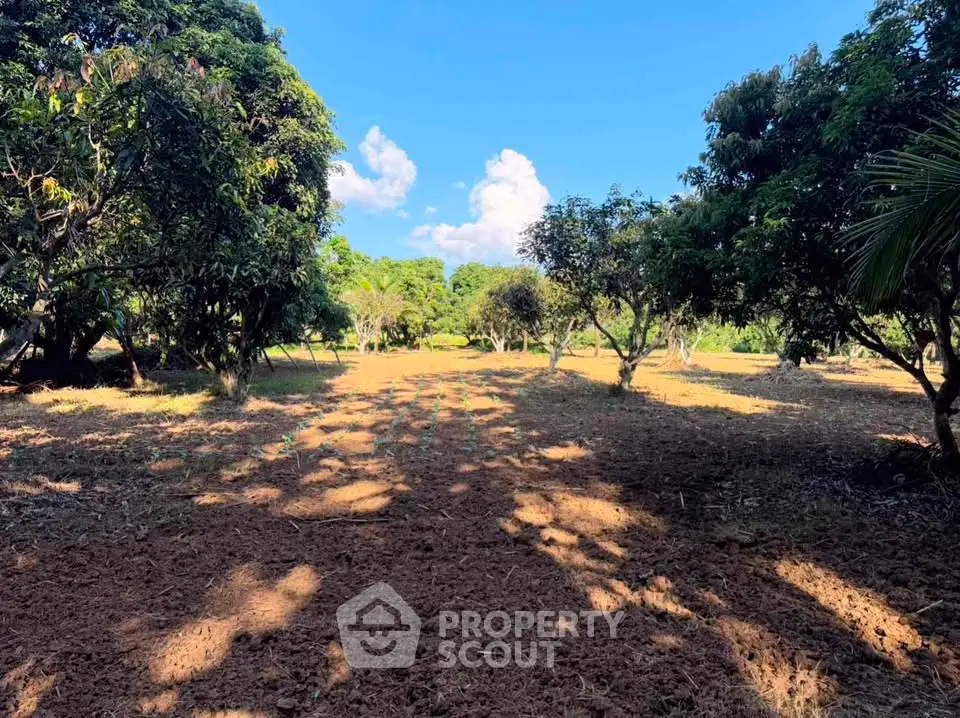 Expansive plot of land with lush trees and clear blue sky, perfect for development or agriculture.