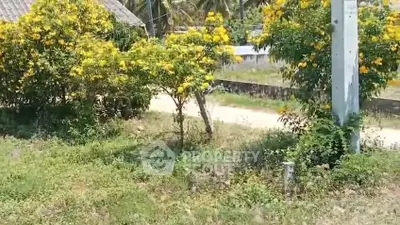 Charming rural property with lush greenery and vibrant yellow flowers