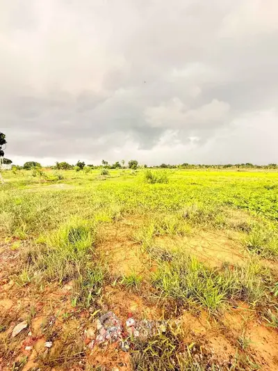 Expansive plot of land with lush greenery under a cloudy sky, perfect for development opportunities.