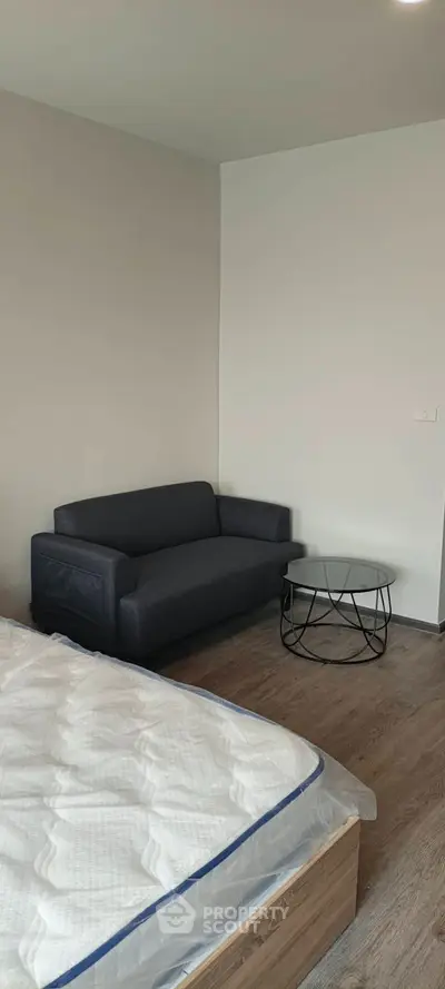 Modern living room with sleek gray sofa and stylish decor