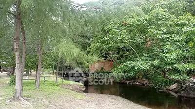 image_rental-20011337