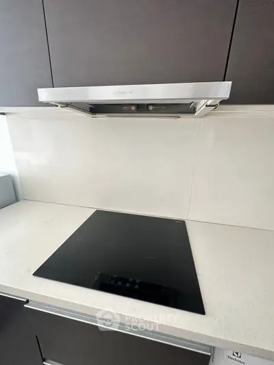 Modern kitchen with sleek induction cooktop and stainless steel range hood.