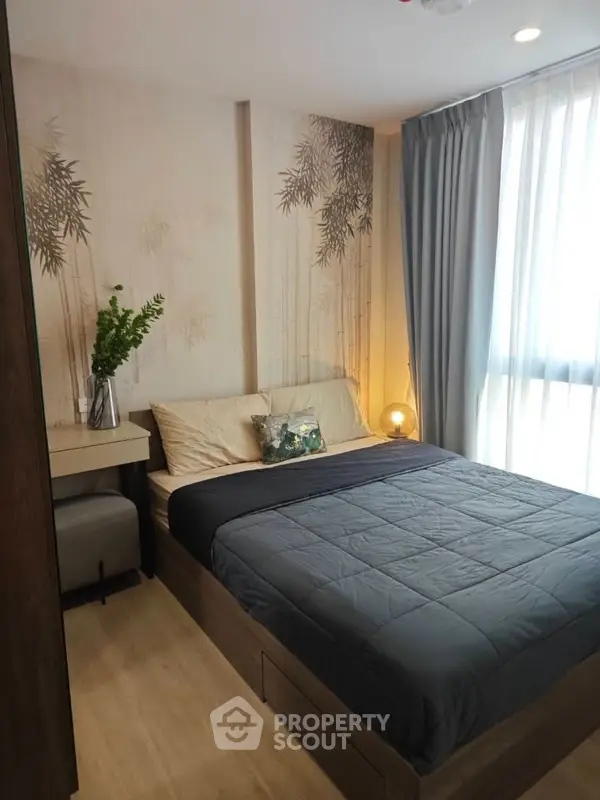 image_rental-23213177