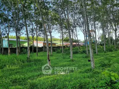 Lush green garden with trees and colorful houses in the background