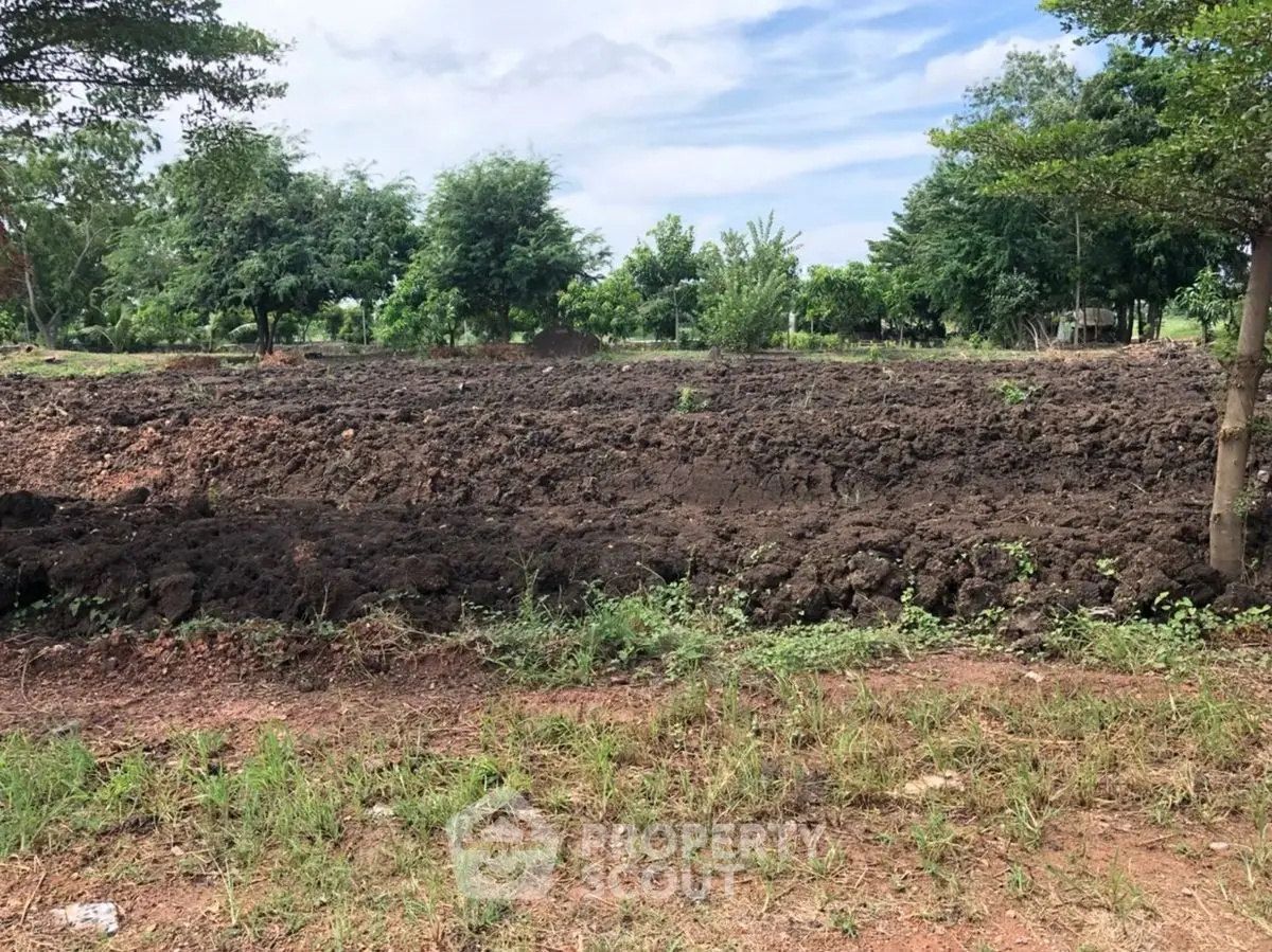 Expansive plot of land with lush greenery, perfect for development opportunities.