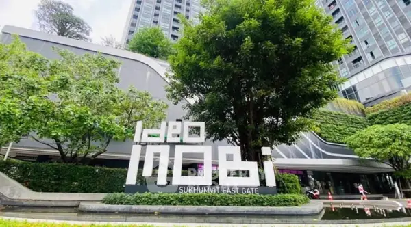 image_rental-30519663