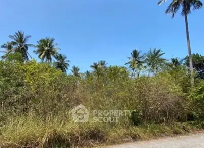 image_rental-29524132