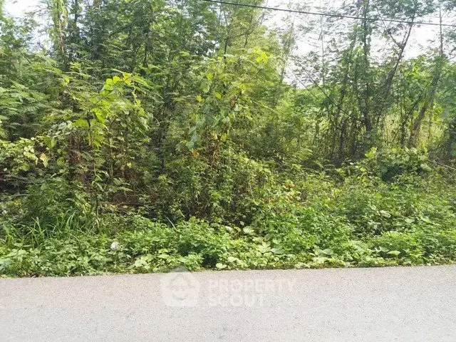 Lush green land plot with dense foliage, ideal for development or investment opportunities.