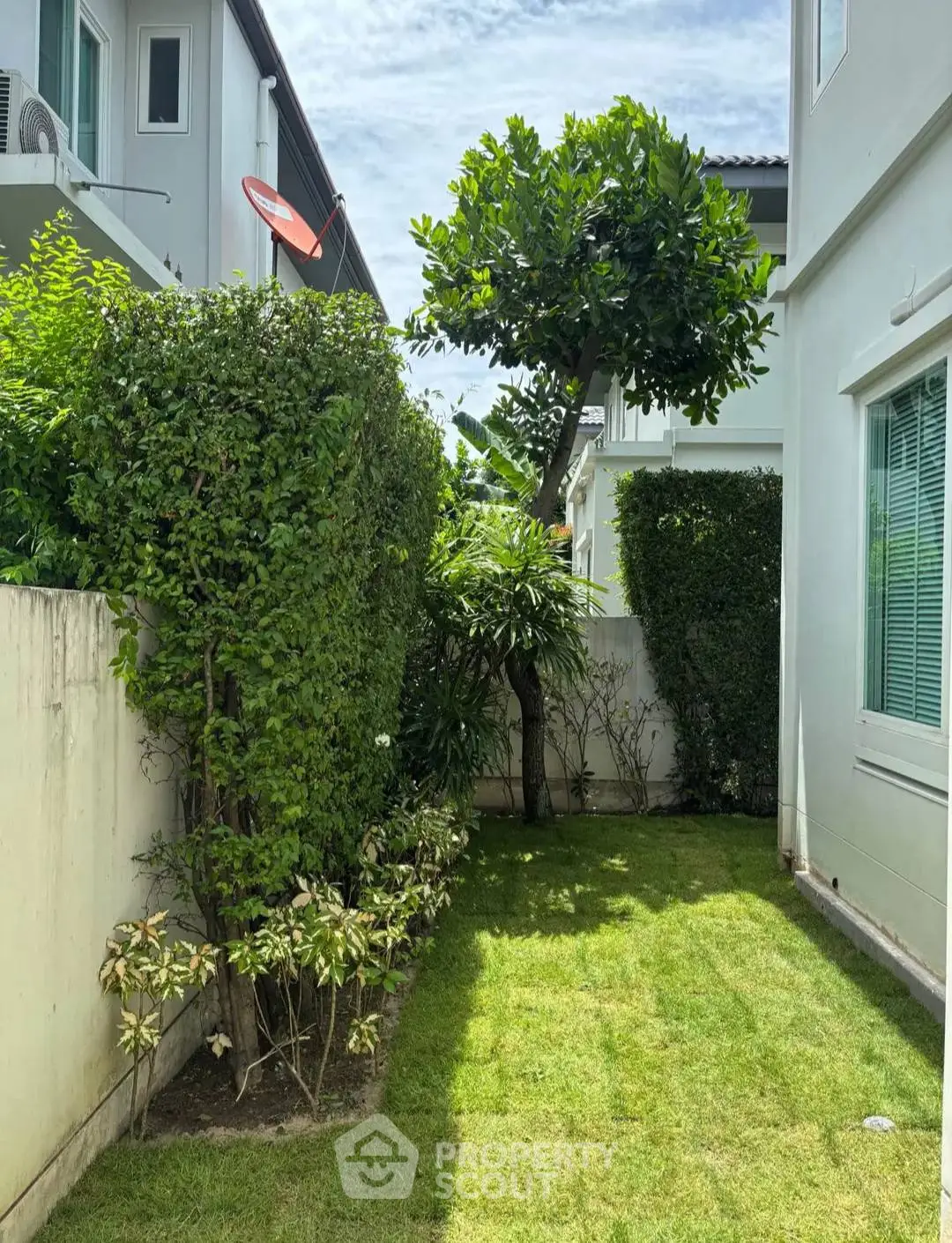 Charming garden space beside modern home with lush greenery and manicured lawn.