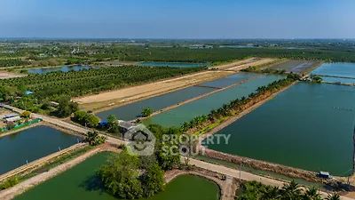 image_rental-31837270
