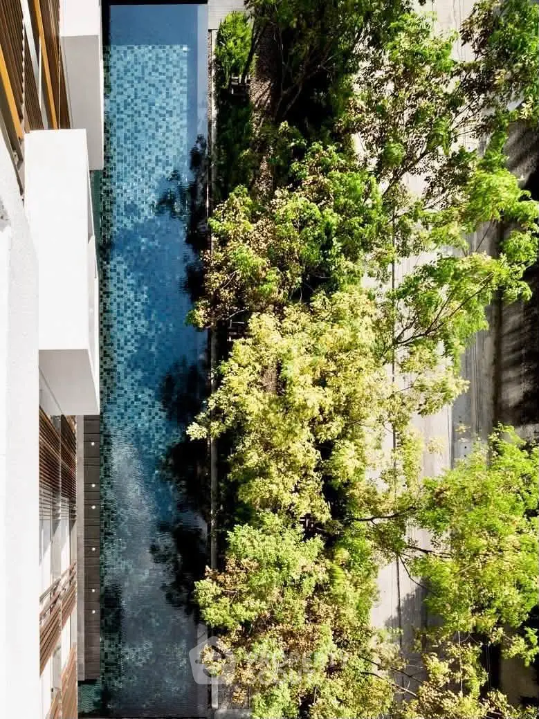 Stunning aerial view of a sleek modern pool surrounded by lush greenery, perfect for luxury living.